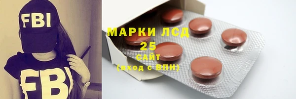 молекула духа Осташков