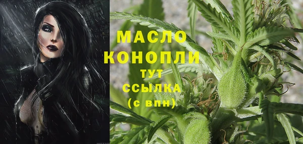 индика Абаза