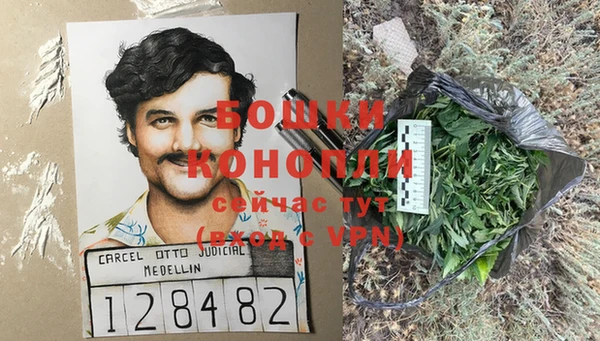 дмт Осинники