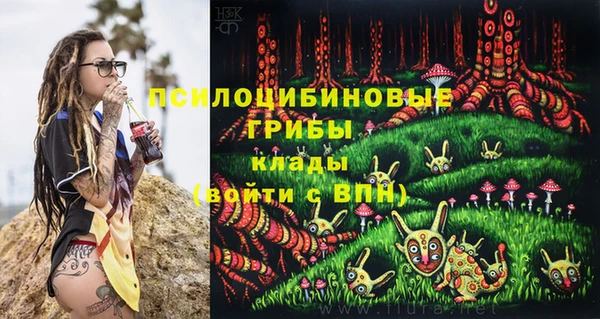 молекула духа Осташков