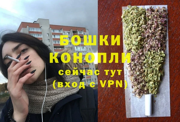 дмт Осинники