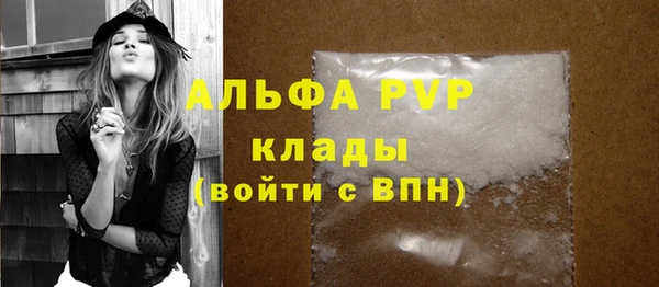 индика Абаза