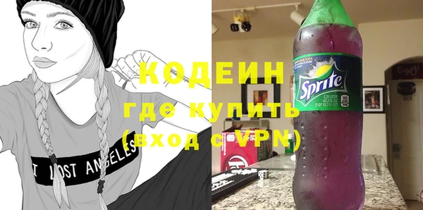 индика Абаза