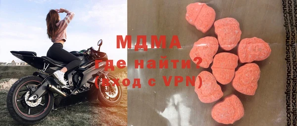 индика Абаза