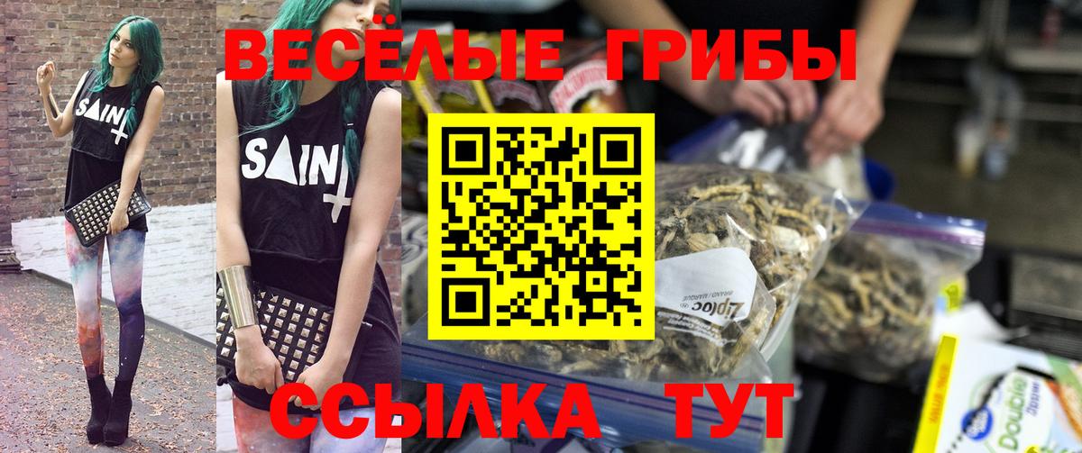 Галлюциногенные грибы GOLDEN TEACHER Мурино